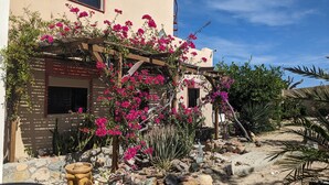 A building with a wooden pergola covered in pink bougainvillea flowers, surrounded by various plants and rocks.