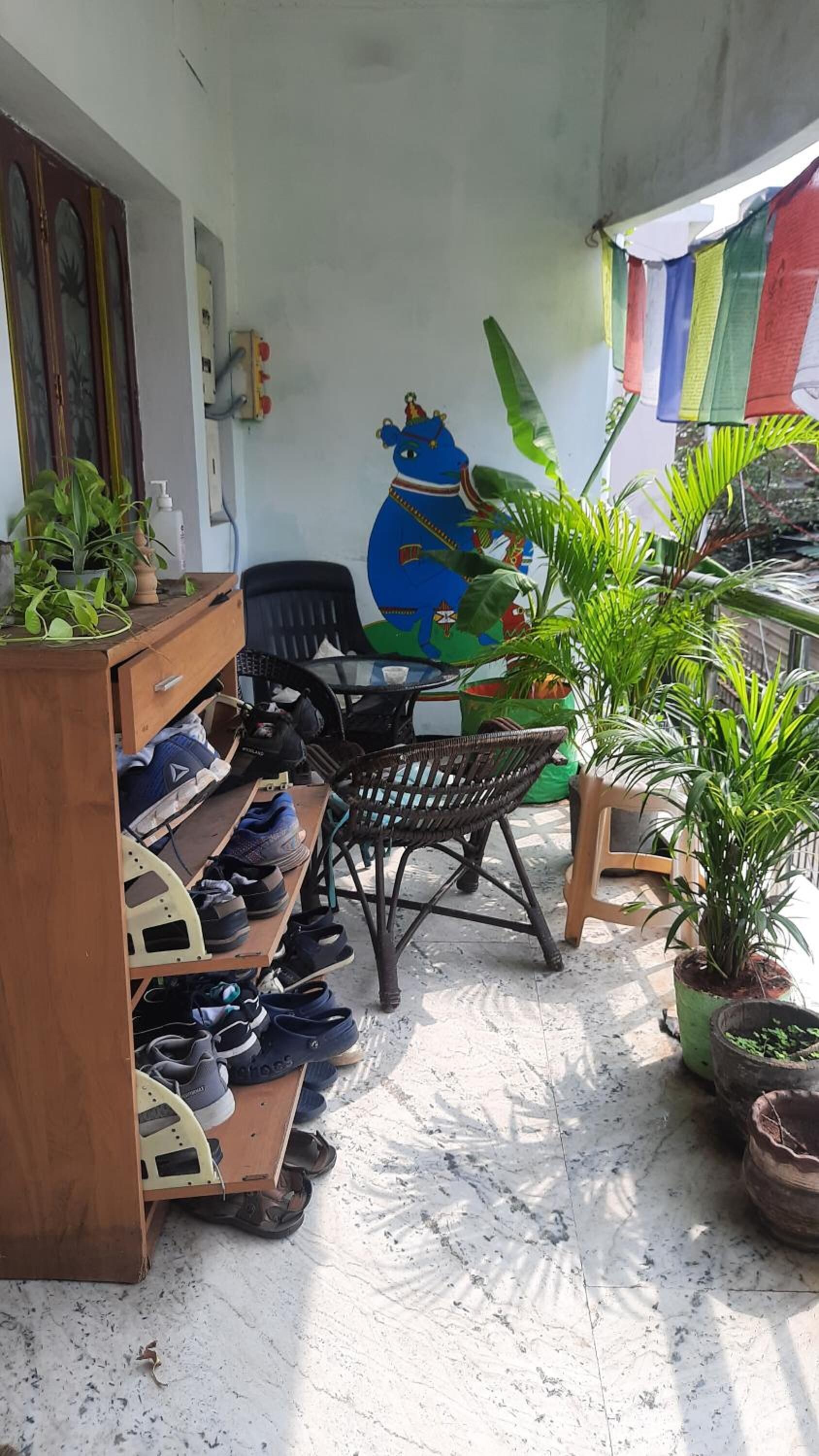 A small outdoor seating area with a table and chairs, surrounded by potted plants and a shoe rack.