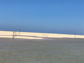 Beach - Beautiful apartment Arcachon - the Port (Arcachon)