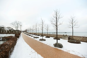 Lago