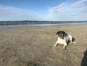 Vlak bij het strand, ligstoelen aan het strand