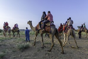 A group of people riding camels in a desert setting. - Sahara Desert Camp (Jaisalmer)