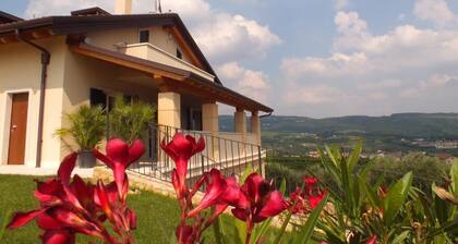 Villa Oleandri - Elégante villa à Valpolicella