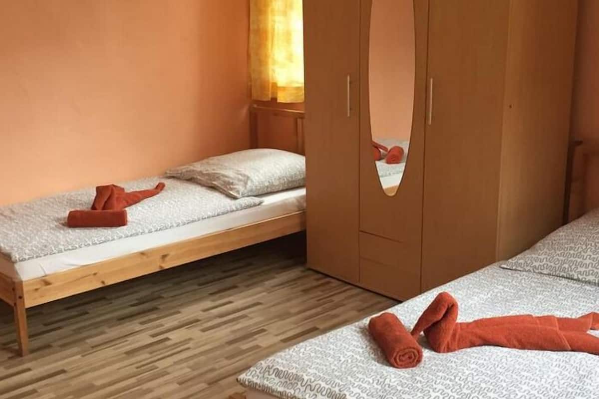 Un dormitorio con dos camas individuales, suelo de madera y un armario con espejo.