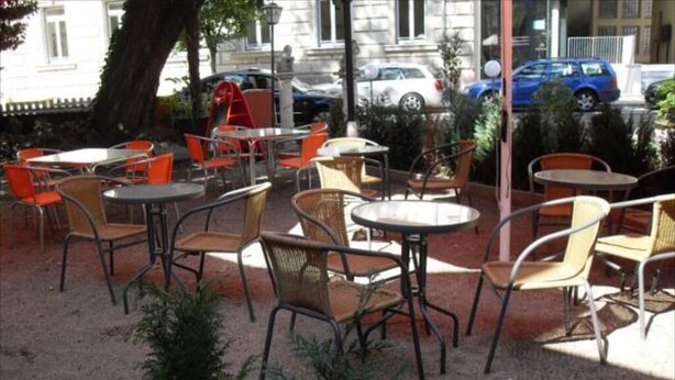 Un espace extérieur aménagé avec des tables et des chaises, entouré de plantes et d’un arbre.