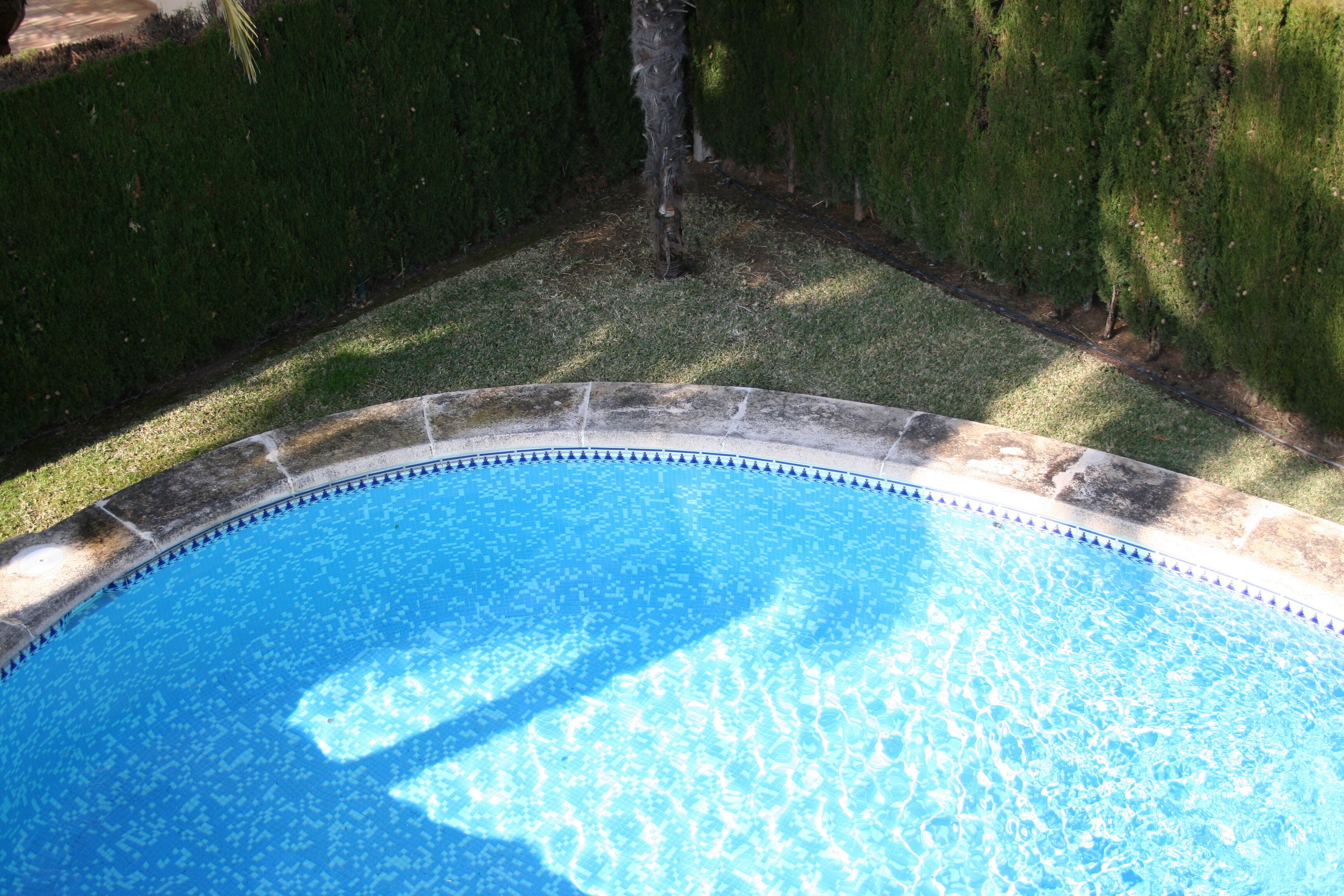 A swimming pool with a stone edge and a blue mosaic pattern.