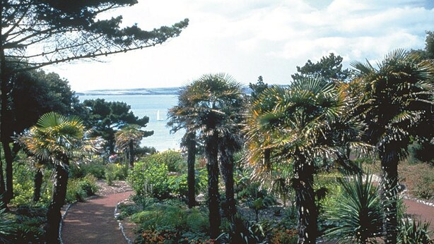 Un jardin où l’on trouve une grande variété de plantes et d’arbres, un sentier et, au loin, une vue sur la mer.