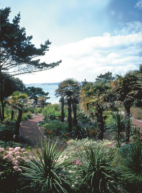 코티지 | 숙박 시설 구내