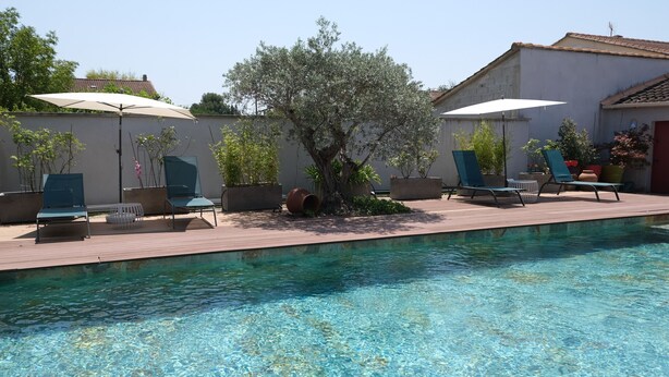 Area piscina con sedie a sdraio e ombrelloni, circondata da piante in vaso e un albero.
