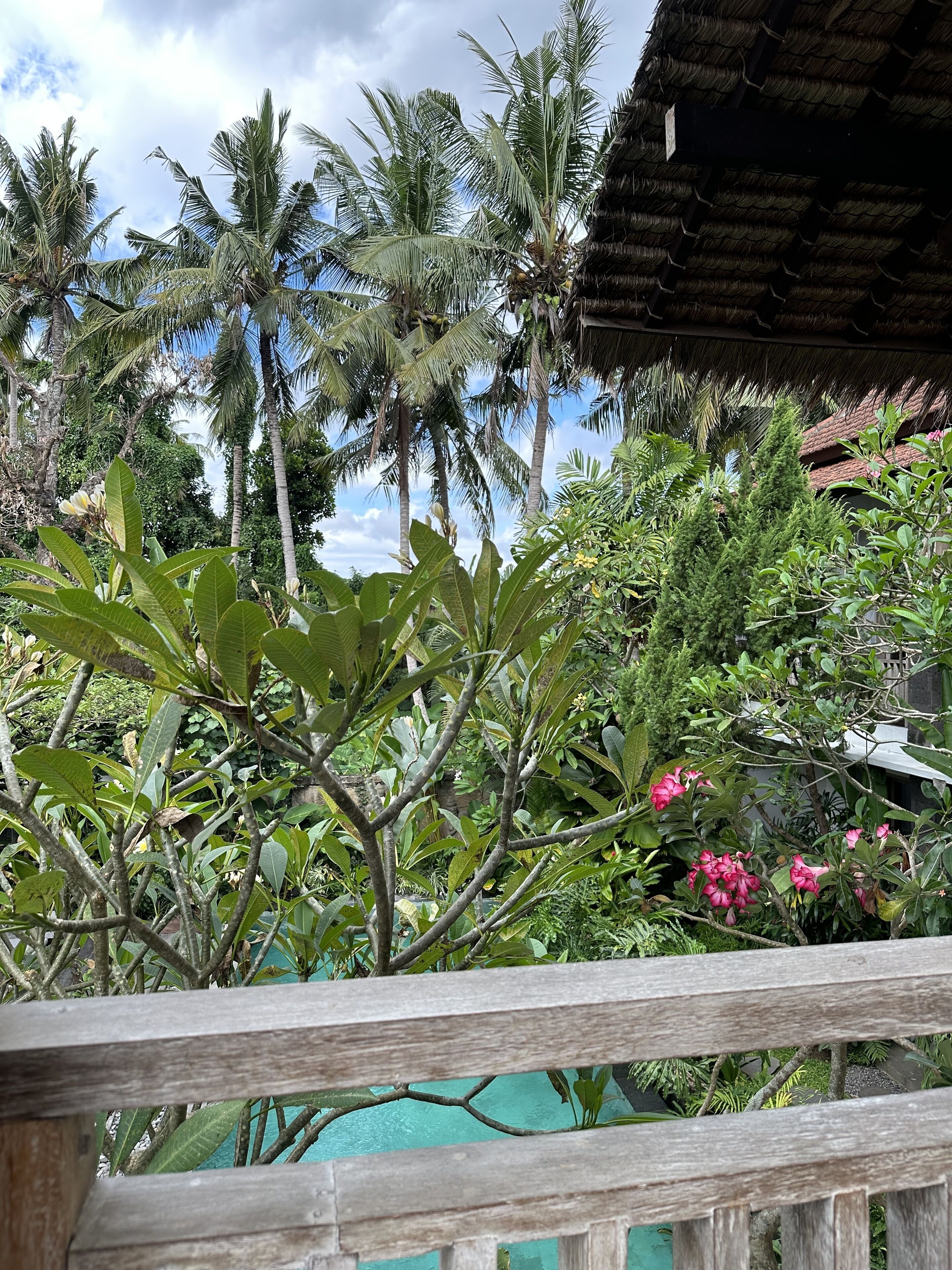 Foto - Kailash Bali
