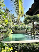 Una piscina rodeada de exuberante vegetación y palmeras, con una estatua de piedra y sillas de descanso.