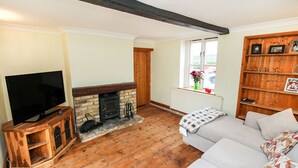 A living room with a fireplace, a television on a wooden stand, a sofa, and a bookshelf. - Mallard Cottage (Aylesford)