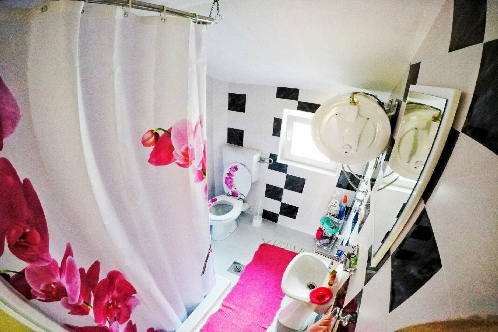 Shower, hair dryer, shampoo, toilet paper
