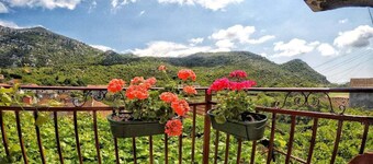 Lotus house, Dodoši-NP Skadar lake