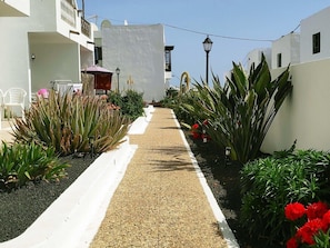 Terrein van de accommodatie