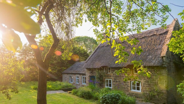 A stone cottage with a thatched roof, surrounded by lush greenery and a well-maintained lawn.