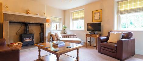 Smart TV, fireplace, DVD player