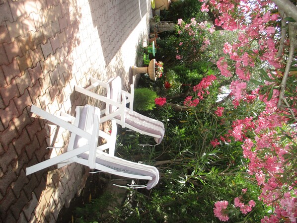 Terras