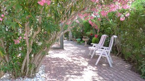 Terassi/patio