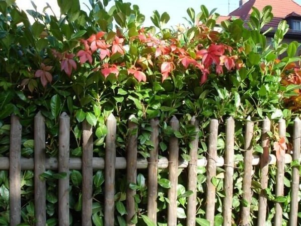 Property grounds - Pension Refugium überm Schwansee (Weimar)