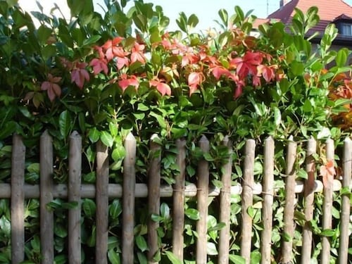 Pension Refugium überm Schwansee