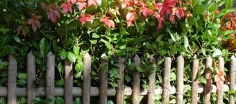 Pension Refugium überm Schwansee