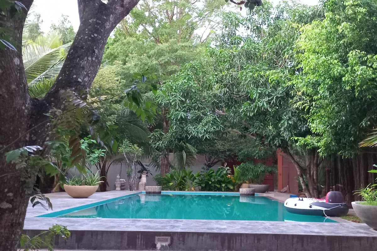 A swimming pool surrounded by lush greenery and trees.