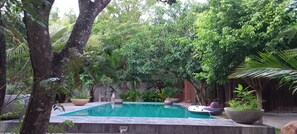 A swimming pool surrounded by lush greenery and trees. - My Village (Thissamaharama)