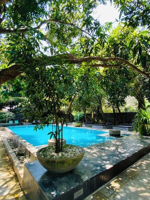 A swimming pool surrounded by lush greenery and stone seating areas.