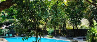 My Village
