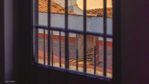 A window with metal bars, through which a view of a building with a tiled roof and a structure with arched windows is visible. - Andalusian village family house (Peñaflor)