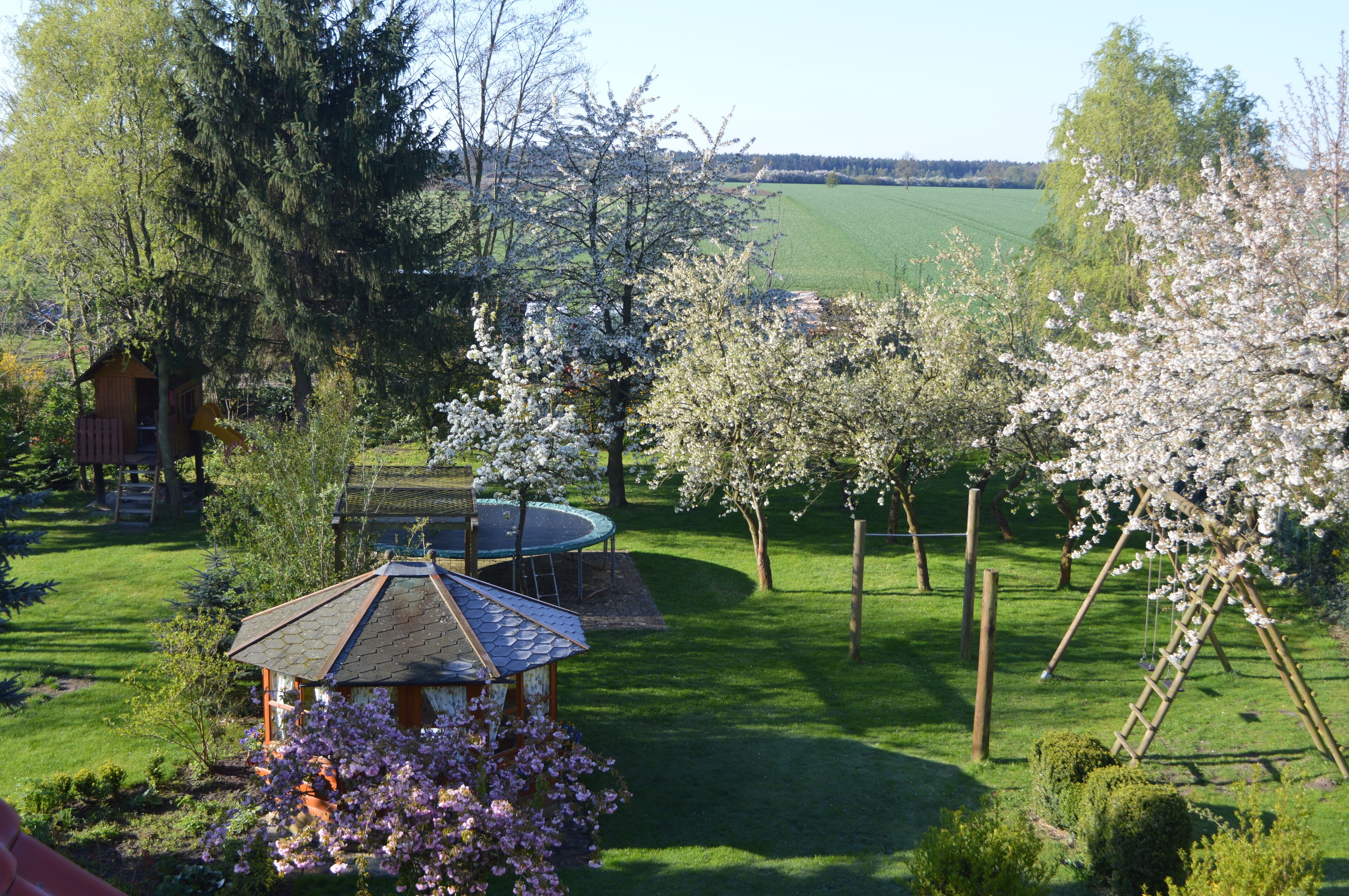 Basic Studio, 1 Bedroom | Garden view