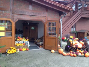 Eksteriør