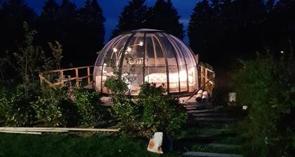 La bulle au bois dormant d'ovifat