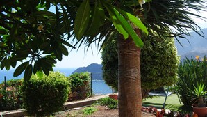 Un jardín con diversas plantas, una palmera y una vista al mar y montañas de fondo.