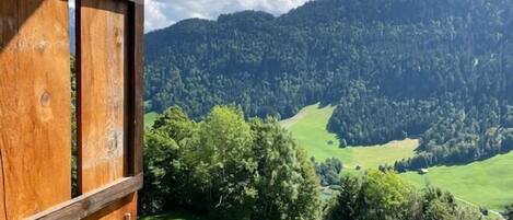 Une structure en bois offrant une vue sur un paysage verdoyant et des montagnes.