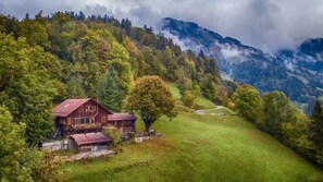 Exterior - Alps Chalet for Big Group with Sauna & Yoga Terrace (Rossinière)