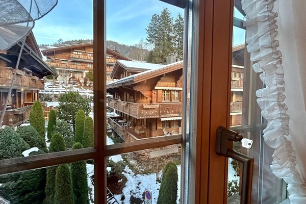 beautiful views from window (Winter 4)