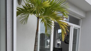 A potted palm tree in a large container on a tiled patio area with a sliding glass door leading to an interior space. - Lili House (San Andrés)