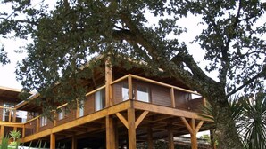 Een houten huis met balkon, omringd door bomen en een grindpad.