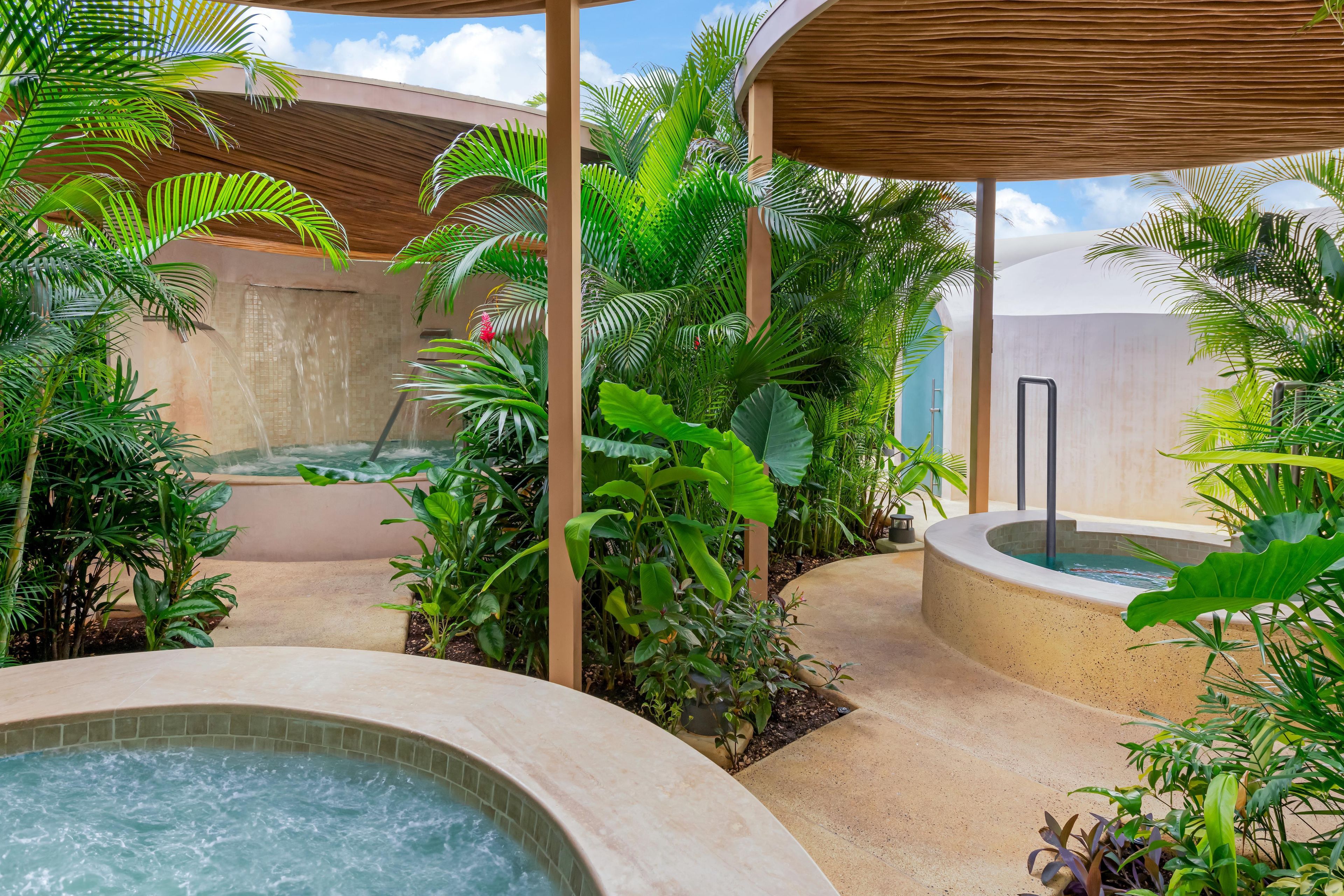 A spa area with a hot tub, surrounded by lush tropical plants and a tiled wall.