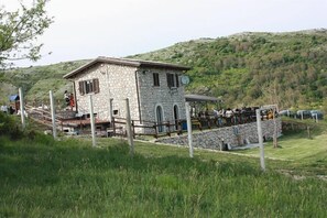 Ngoại thất