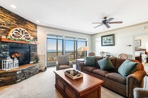 TV, fireplace, books