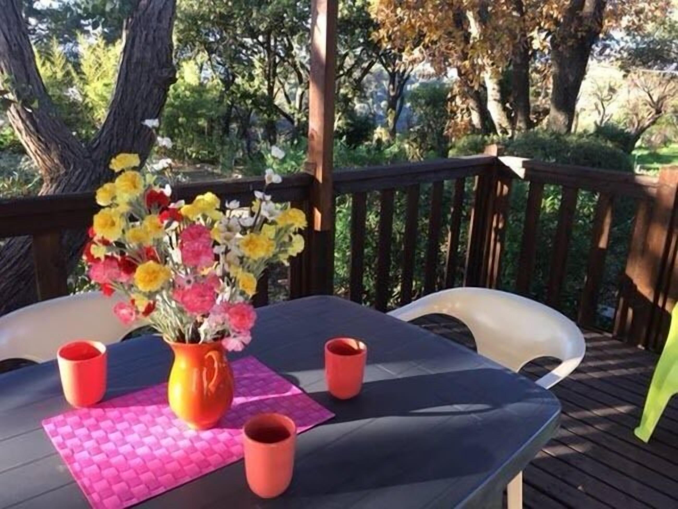Bungalow (Arizona) | Terrace/patio