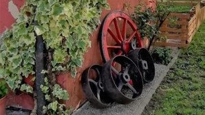 Un bâtiment rustique, dont les murs extérieurs sont recouverts de lierre, une brouette rouge et un chemin de béton menant à l’entrée.