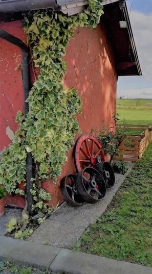 المنطقة المحيطة بالمنشأة