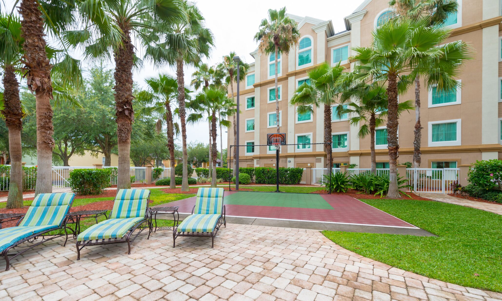 A courtyard with palm trees, a basketball court, and lounge chairs.