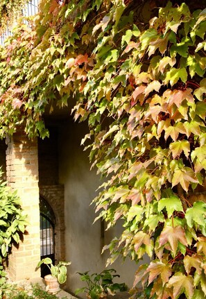 Property grounds - Le Mas de la Filoselle (Saint-Martin-de-Valgalgues)