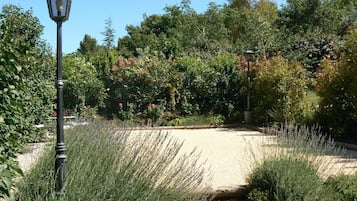 A garden pathway with a lamp post, surrounded by dense foliage and flowering plants.