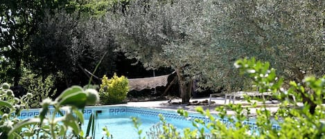 Outdoor pool, pool umbrellas, pool loungers